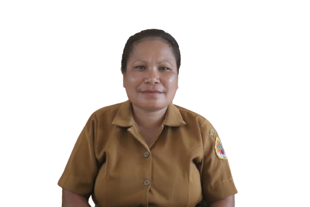 MERI DELFINA NOFU